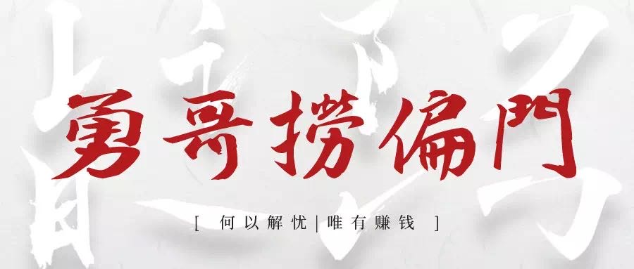 勇哥捞偏门VIP会员：独家脚本被动引流变现项目